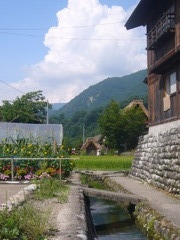 夏の思い出