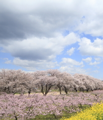 北信濃の春