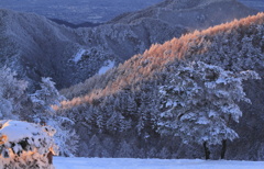 －18℃の輝き