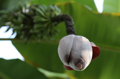 水戸市植物公園にて3