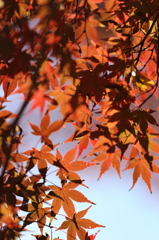 佐白山ろく公園にて3
