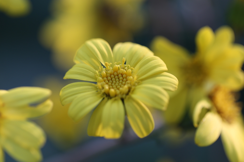 水戸市植物公園にて9