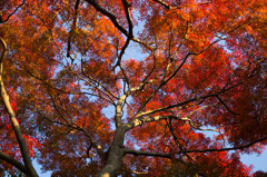 佐白山ろく公園付近