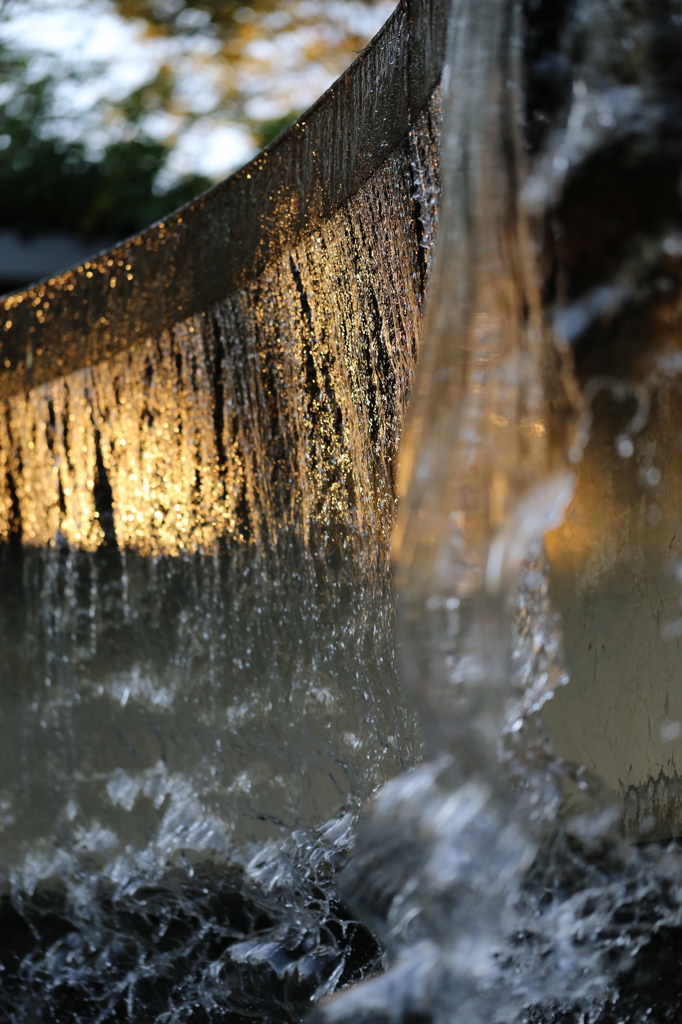 水戸市植物公園にて12