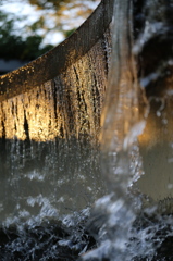 水戸市植物公園にて12