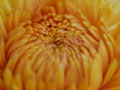 P1070257