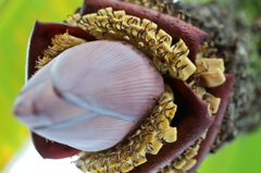 水戸市植物公園にて8