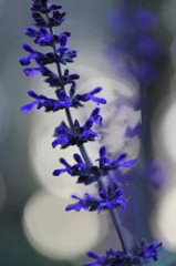 水戸市植物公園にて10