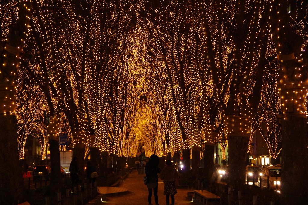 光のページェント