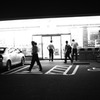 夜光虫