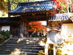 京紅葉2025＿槙尾・西明寺02　表門