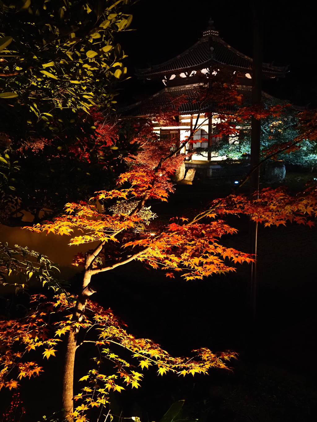 京紅葉2025＿嵐山・鹿王院夜の特別拝観15　舎利殿