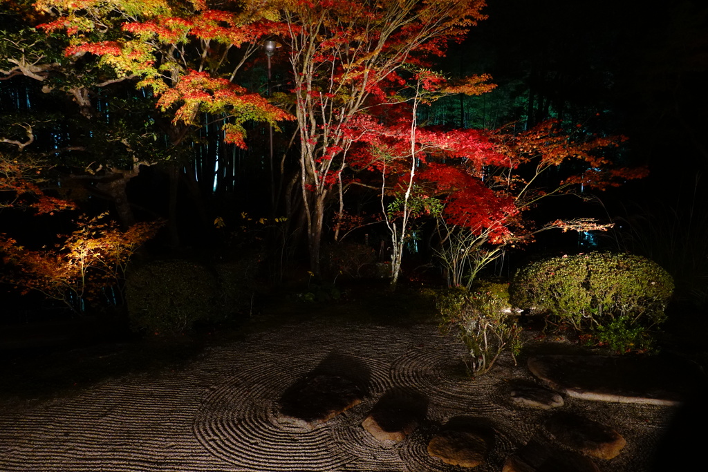 京紅葉2018＿天授庵03