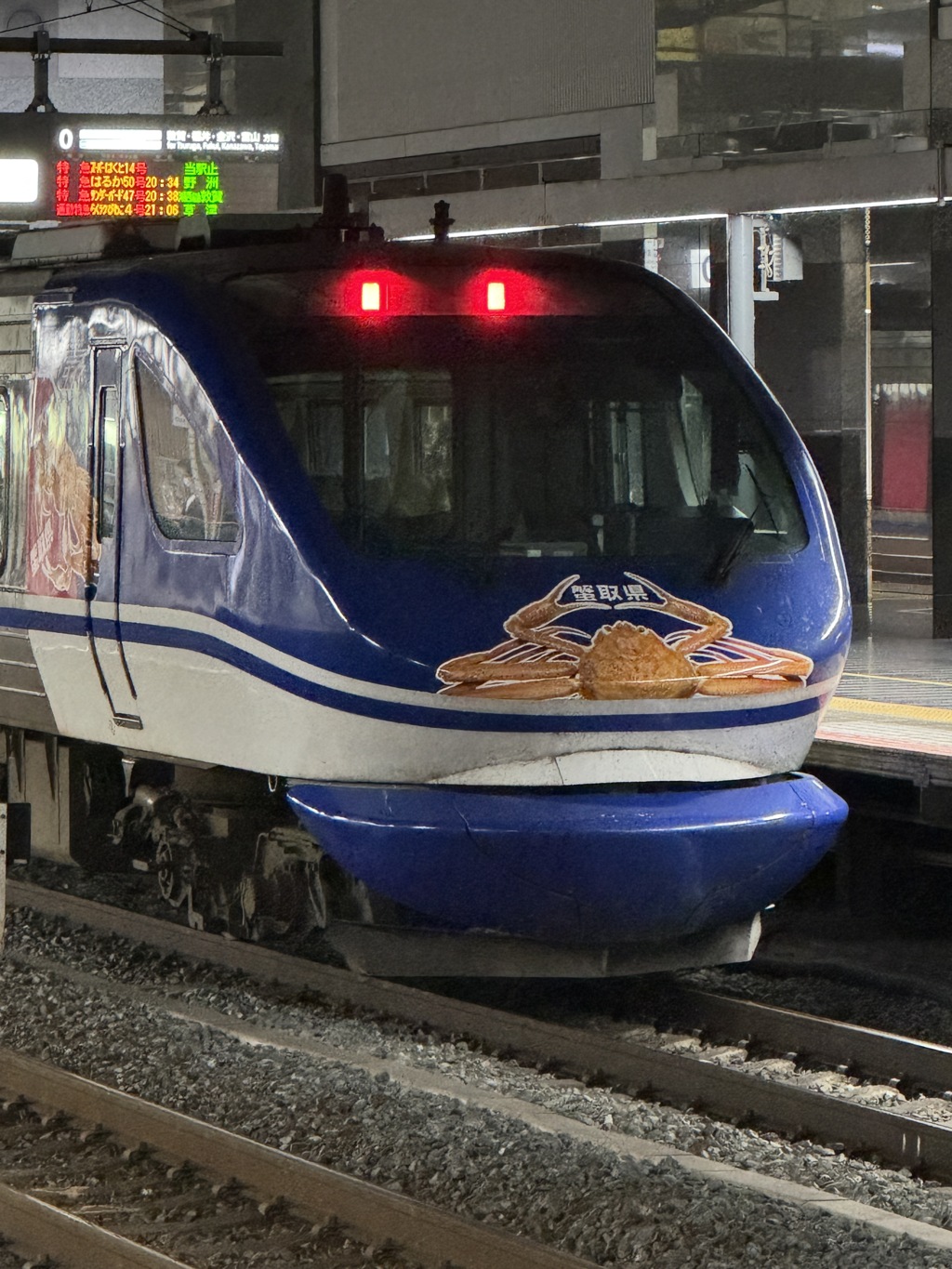 季節到来