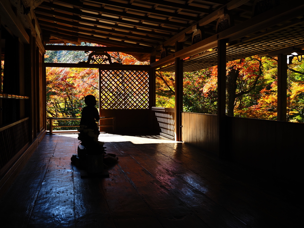 京紅葉2025＿栂尾・高山寺05　国宝石水院