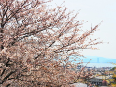 湖の見える丘で