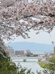 石山寺から琵琶湖遠望