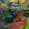 京紅葉2024＿大原・古知谷 阿弥陀寺07