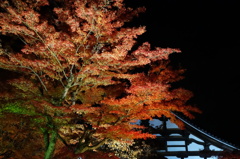 京紅葉2013＿高台寺02