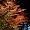 京紅葉2013＿高台寺02