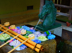 藤森神社 花手水-馬02