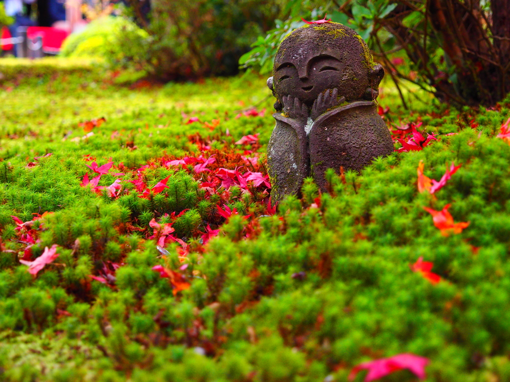 京紅葉2024＿圓光寺のお地蔵様03