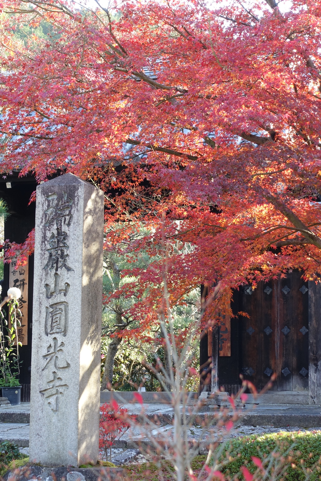 京紅葉2015＿圓光寺01