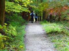 サムライロードの風景01