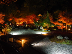 京紅葉2024＿金戒光明寺03　紫雲の庭