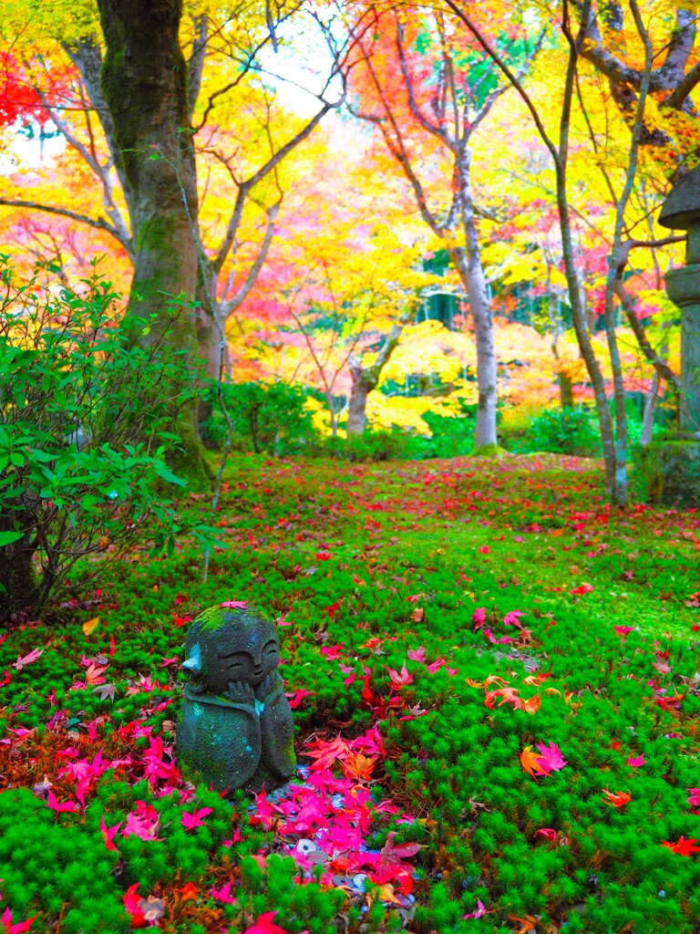 京紅葉2024＿圓光寺のお地蔵様01