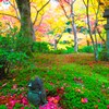 京紅葉2024＿圓光寺のお地蔵様01
