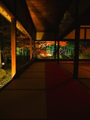 京紅葉2024＿大原・宝泉院　秋の夜灯り07