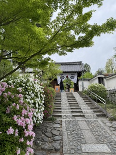 建仁寺塔頭 西来院_01