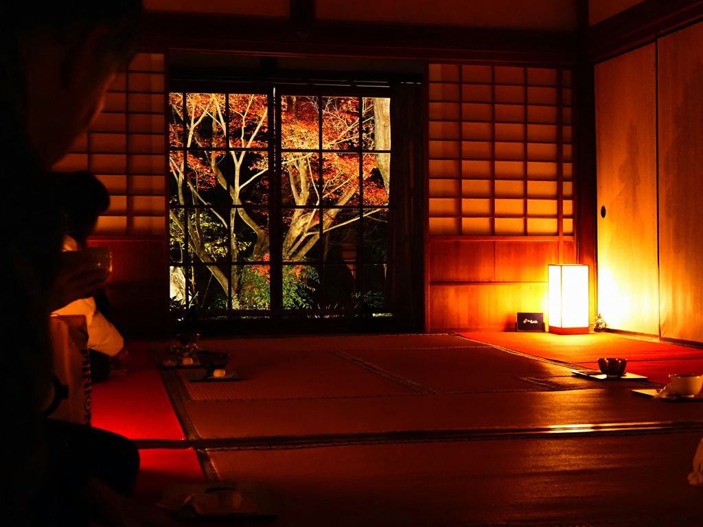 京紅葉2025＿嵐山・鹿王院夜の特別拝観17　おもてなしの場所から