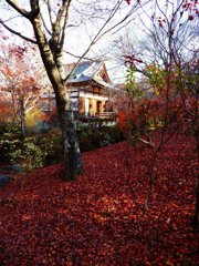 京紅葉2025＿嵐山・宝筐院09　ふかふか