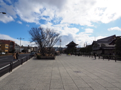 M.ZUIKO 8-25mm F4.0 PROデビュー_01