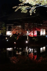 京紅葉2013＿高台寺10