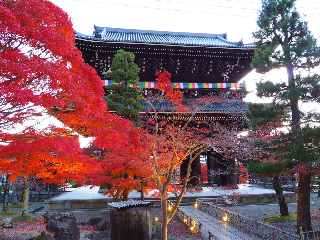 京紅葉2024＿金戒光明寺01　夕暮れの山門