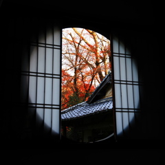 京紅葉2025＿洛西・浄住寺07　本堂丸窓