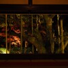 京紅葉2024＿大原・宝泉院　秋の夜灯り09