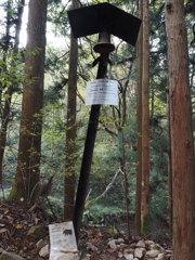 危険なラッキーポイント