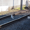 M.ZUIKO 12-200mm F3.5-6.3デビュー　嵐電_32