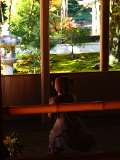 京紅葉2025＿栂尾・高山寺07　善財童子越しの