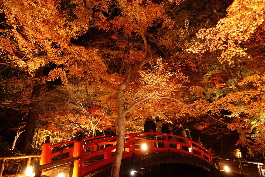 京紅葉2016　北野天満宮もみじ苑_10