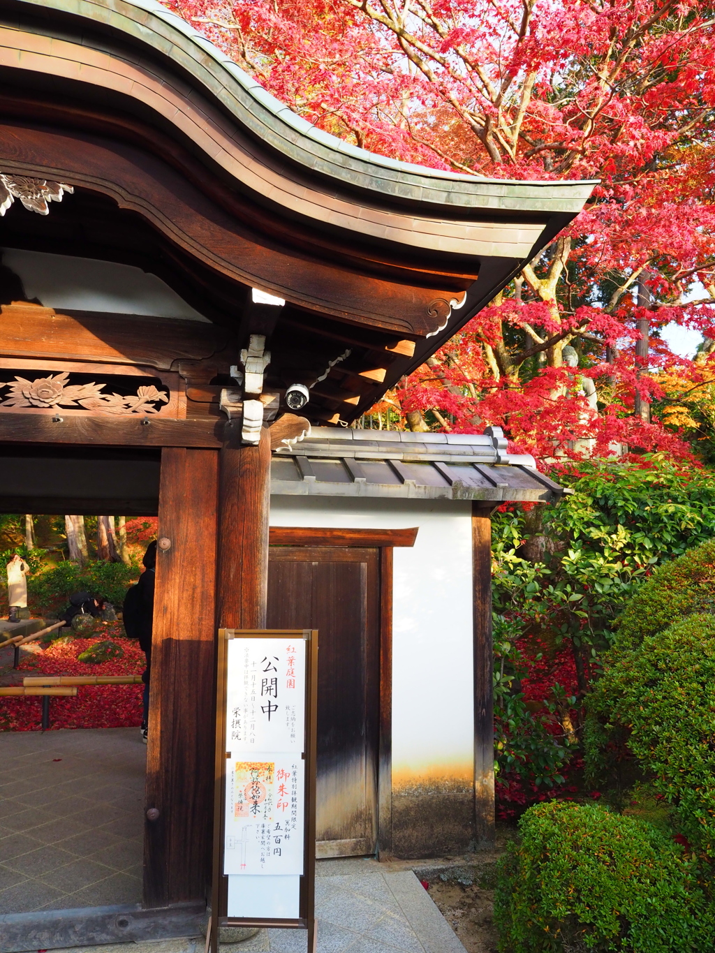 京紅葉2024＿栄摂院01　期待の門