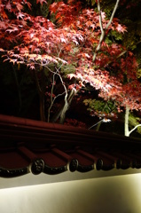 京紅葉2013＿永観堂11