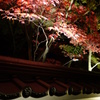 京紅葉2013＿永観堂11