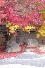 京紅葉2013＿実相院02