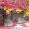 京紅葉2013＿実相院02