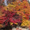 京紅葉2013＿実相院03